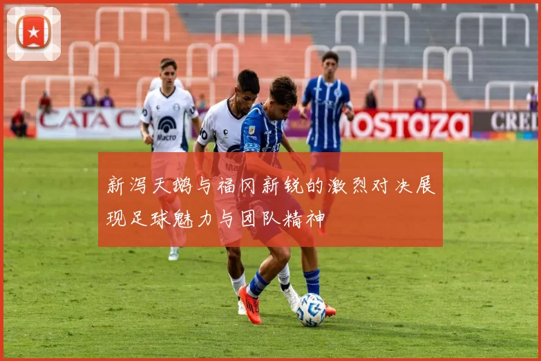 新泻天鹅与福冈新锐的激烈对决展现足球魅力与团队精神