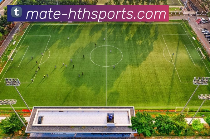 华体会发展历程